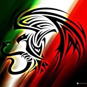 Meet your Posher, Felipe